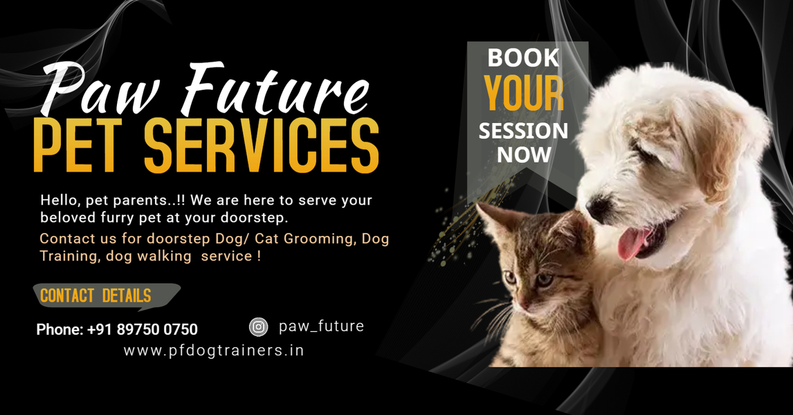Cover photo of PAW FUTURE PET SERVICES (PET GROOMER)